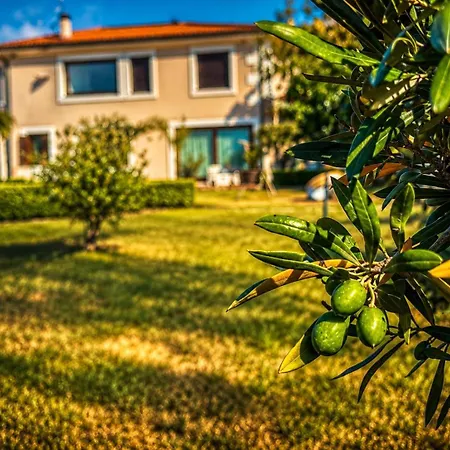 Degli Ulivi Frühstückspension 3*